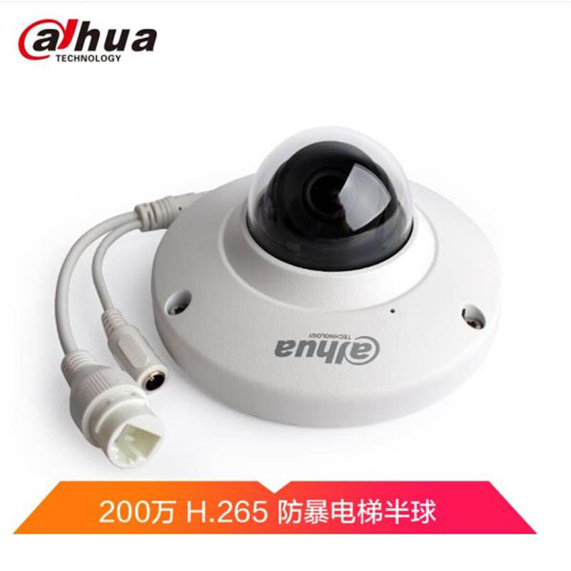 大华 DH-IPC-HDP2230C-SA 高清网络摄像机 白色 （单位：个）